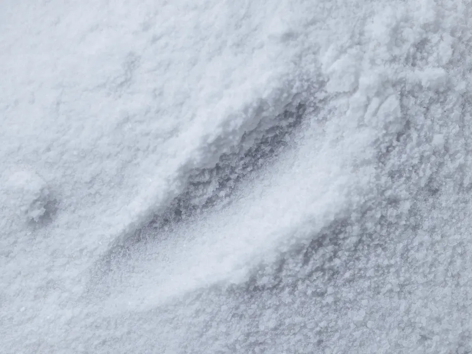 Close up of fine white powder